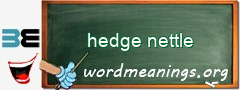 WordMeaning blackboard for hedge nettle